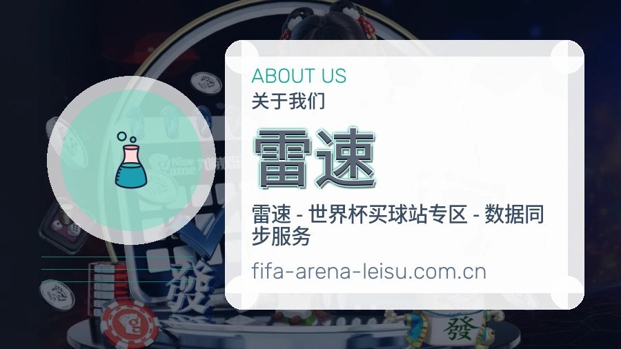 雷速发展说明